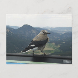 Clarks Nutcracker Postkarte