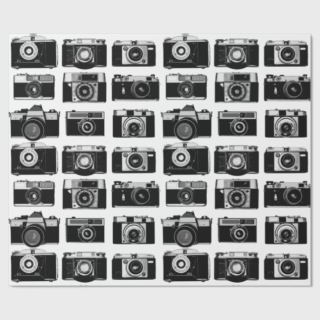 CLASSIC 35-mm-FOTO-FILMKAMERAS-PATTER Geschenkpapier (Flach)