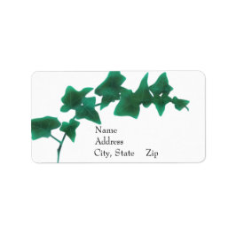 Classic Aquarell Green English Ivy Adressaufkleber