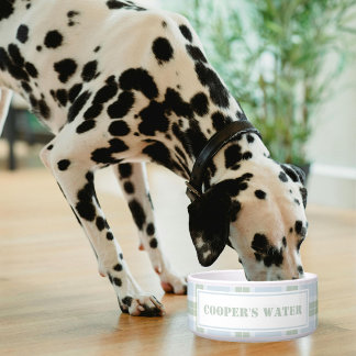 Classic Blue Green Plaid Pattern Name Dog Water Napf