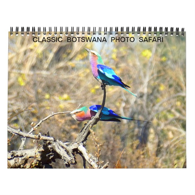 CLASSIC BOTSWANA FOTO SAFARI KALENDER (Titelbild)