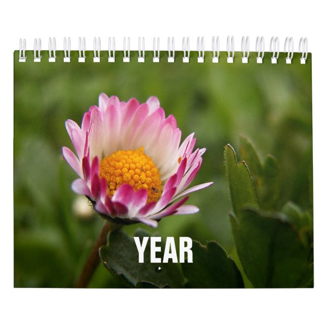Classic, Familar Kalender (Titelbild)