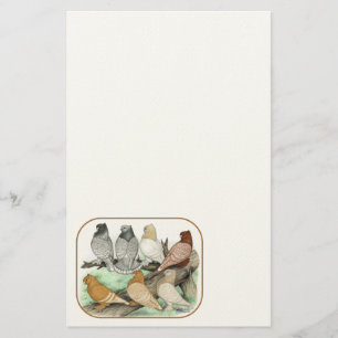 Classic Frill Pigeons Blondinettes Briefpapier