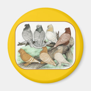Classic Frill Pigeons Blondinettes Magnet