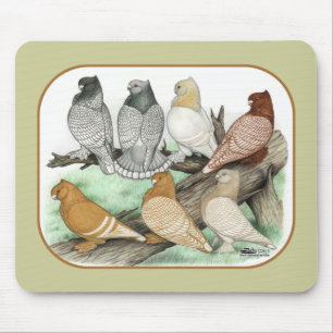 Classic Frill Pigeons Blondinettes Mousepad