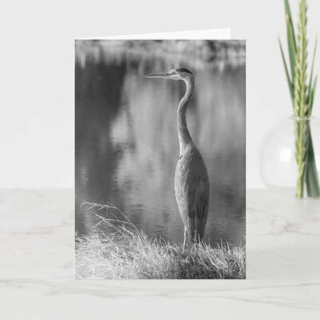 Classic Great Blue Heron Black & White Fotografy Karte (Vorderseite)