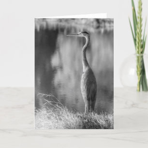 Classic Great Blue Heron Black & White Fotografy Karte