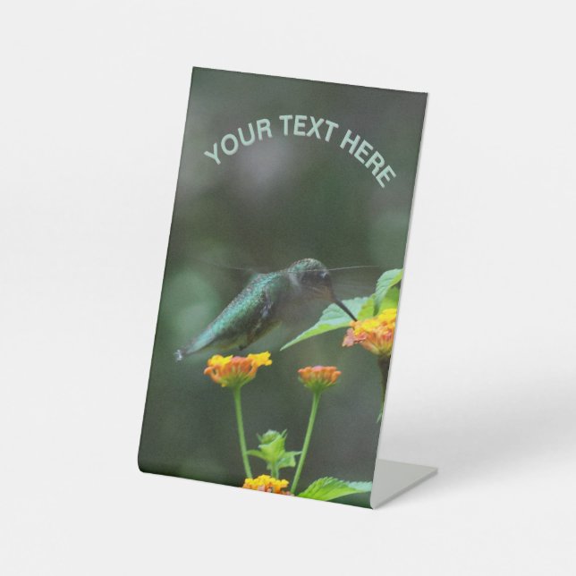 Classic Hummer Sockelschild (Vorderseite)