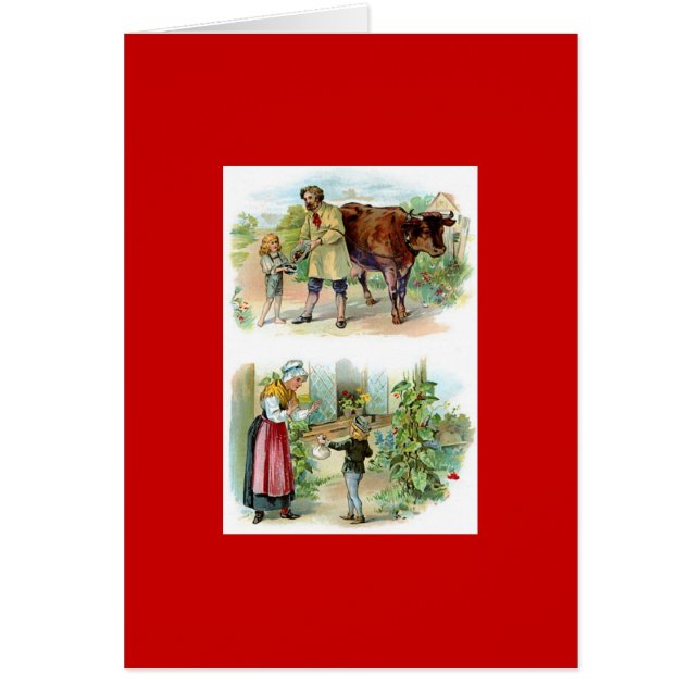 Classic Mairytale (Vorne)