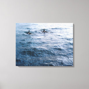 Classic Orca Whale Pair Ocean Scene Foto entworfen Leinwanddruck