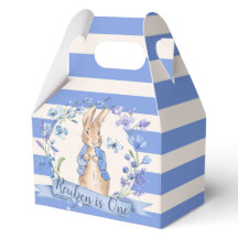 🐰🌿 Classic Peter Rabbit Gastgeschenk Boxes