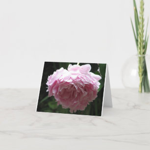 Classic Pink Peony Note Cards Karte