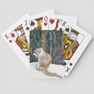 Classic Playing Cards Spielkarten