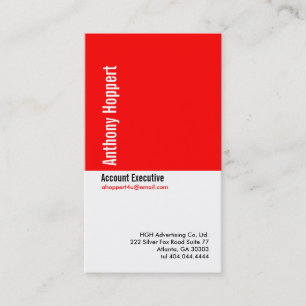 Classic Red Divider Business Card 2 Visitenkarte