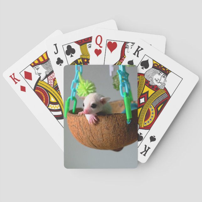 Classic Sugar Glider Playing Cards Spielkarten (Rückseite)