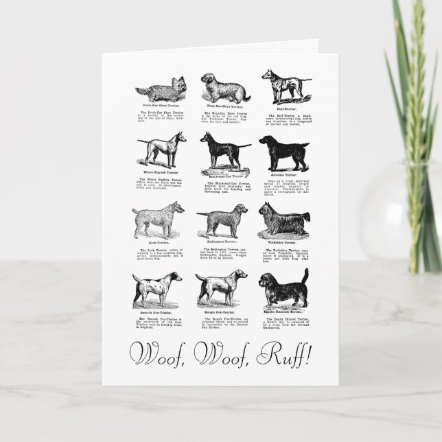 CLASSIC TERRIER DOG BIRTHDAY WISH CARD KARTE (Vorderseite)