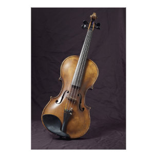Classic Violin Fotodruck