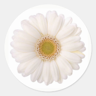 Classic White Gerbera Daisy Blume Runder Aufkleber