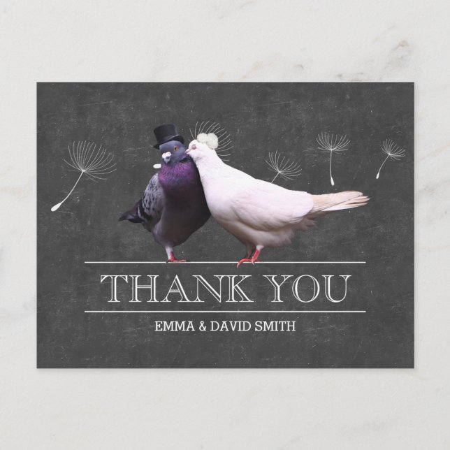 Classy Chalkboard Herr und Frau Birds Vielen Dank Postkarte (Vorderseite)