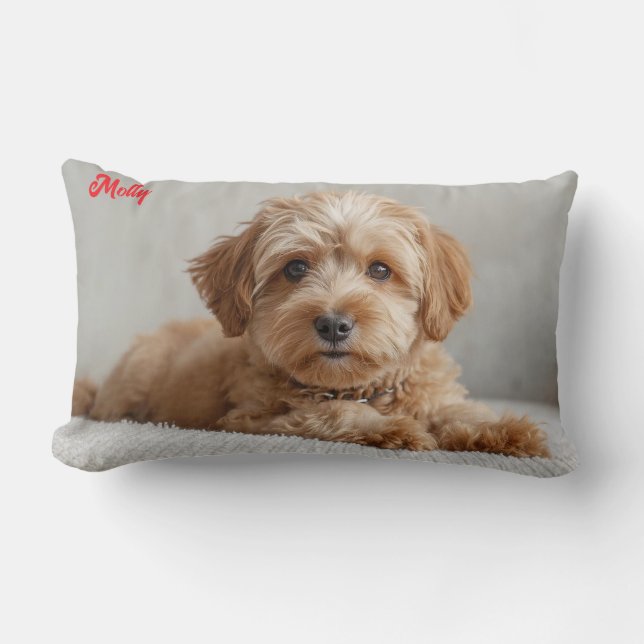 Classy Doodle Personalisiert Lendenkissen (Vorderseite)