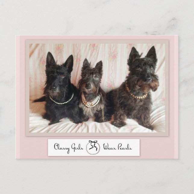 Classy Girls Wear Pearls Postcard Postkarte (Vorderseite)