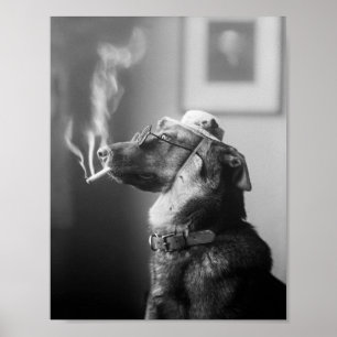 Classy Hund rauchen als Zigarette Poster
