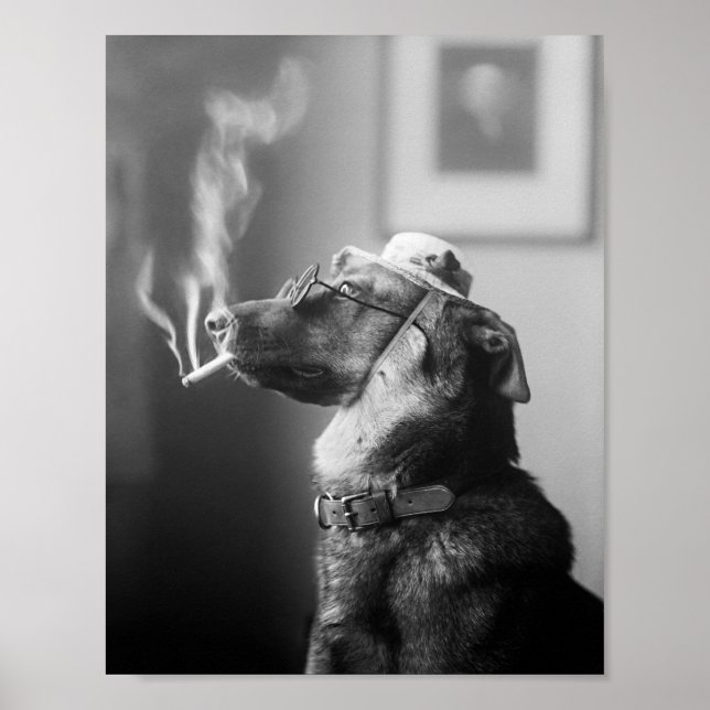 Classy Hund rauchen als Zigarette Poster (Vorne)