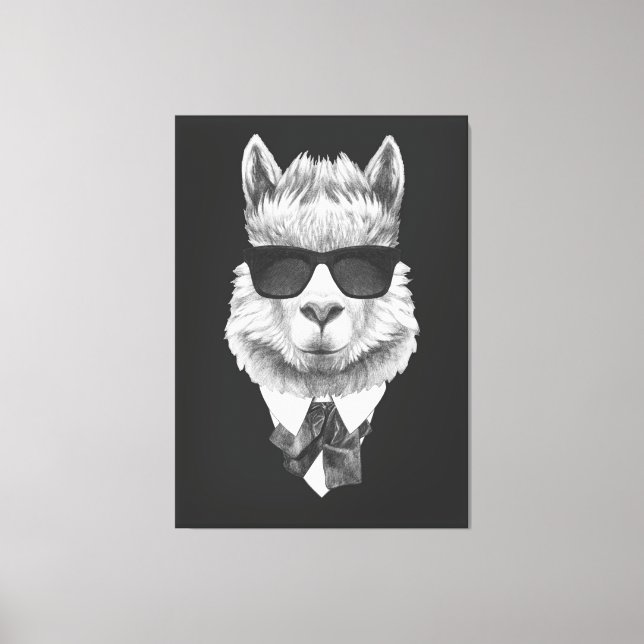 Classy Llama Leinwanddruck (Vorderseite)