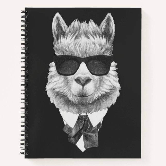 Classy Llama Notizbuch (Vorderseite)