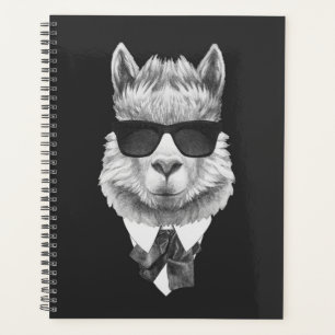 Classy Llama Planer