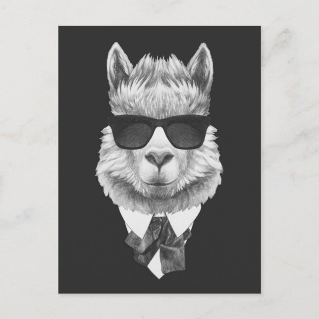 Classy Llama Postkarte (Vorderseite)