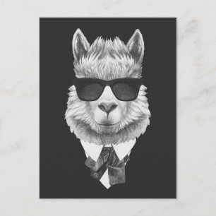 Classy Llama Postkarte