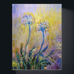 Claude Monet - Agapanthus Briefbeschwerer<br><div class="desc">Agapanthus,  nah-up (Les Agapanthes) - Claude Monet,  1914-1917</div>