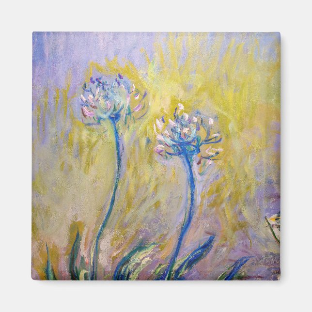 Claude Monet - Agapanthus Magnet (Vorne)