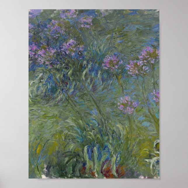 Claude Monet - Agapanthus Poster (Vorne)