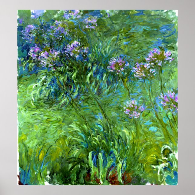 Claude Monet: Agapanthus Poster (Vorne)
