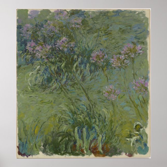 Claude Monet - Agapanthus Poster (Vorne)