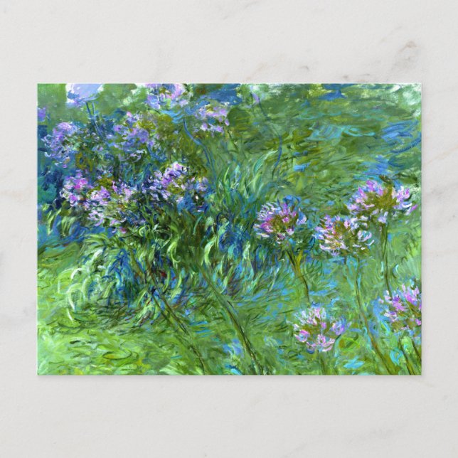 Claude Monet: Agapanthus Postkarte (Vorderseite)