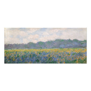 Claude Monet - Feld mit gelben Schwertlilien in Gi Fotodruck