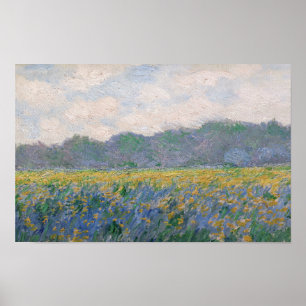 Claude Monet - Feld mit gelben Schwertlilien in Gi Poster