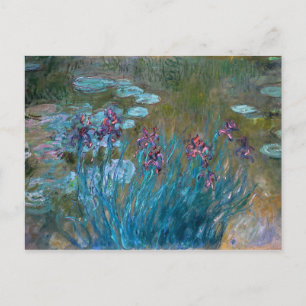 Claude Monet: Ire und Water Lilies Postkarte