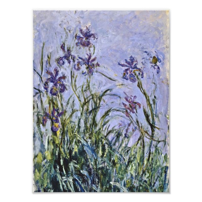 Claude Monet - Iris Mauves Fotodruck (Vorne)