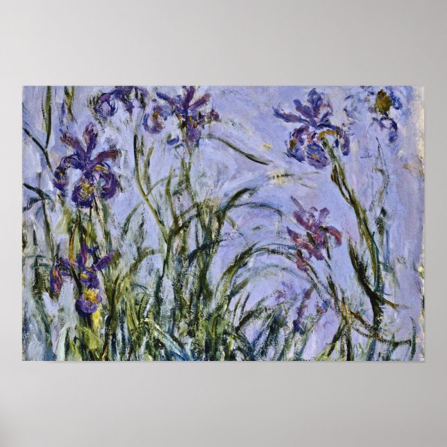 Claude Monet - Iris Mauves Poster (Vorne)