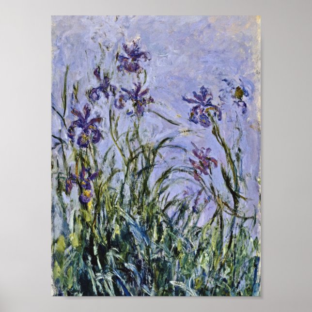 Claude Monet - Iris Mauves Poster (Vorne)