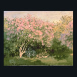 Claude Monet | Lilac in the Sun, 1873 Poster<br><div class="desc">Lilac in der Sonne,  1873 | von Claude Monet | Art Location: Puschkin Museum,  Moskau,  Russland | Französische Künstler | Image Collection number: XIR182548</div>
