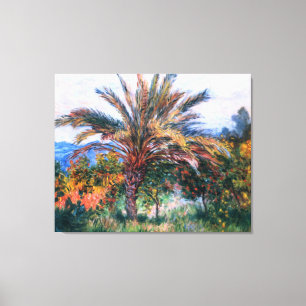 Claude Monet: Palme Tree in Bordighera Leinwanddruck