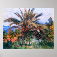 Claude Monet: Palme Tree in Bordighera