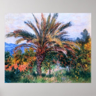 Claude Monet: Palme Tree in Bordighera Poster