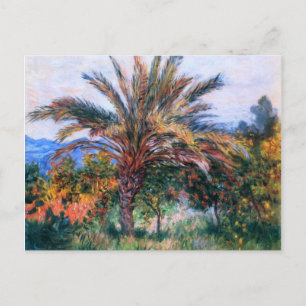 Claude Monet: Palme Tree in Bordighera Postkarte