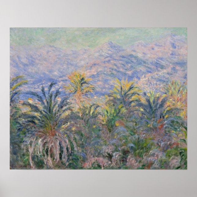 Claude Monet | Palmen in Bordighera Poster (Vorne)